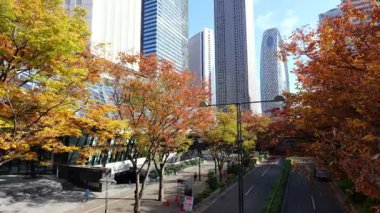 Shinjuku Manzarası, Japonya Tokyo Kasım 2025