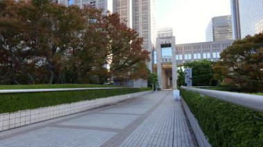 Shinjuku Manzarası, Japonya Tokyo Kasım 2025