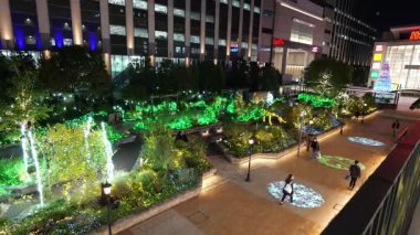 Fukagawa Gatharia Kış Işığı, Japonya Tokyo 2025