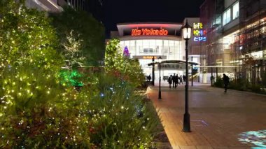 Fukagawa Gatharia Kış Işığı, Japonya Tokyo 2025