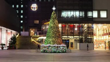 Fukagawa Gatharia Kış Işığı, Japonya Tokyo 2025