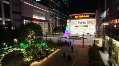 Fukagawa Gatharia Kış Işığı, Japonya Tokyo 2025