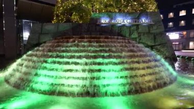 Fukagawa Gatharia Kış Işığı, Japonya Tokyo 2025