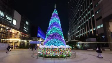 Fukagawa Gatharia Kış Işığı, Japonya Tokyo 2025