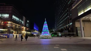 Fukagawa Gatharia Kış Işığı, Japonya Tokyo 2025