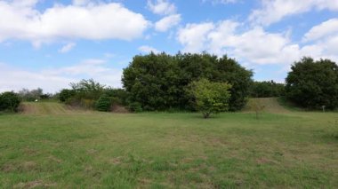 Umi no Mori Park, Japonya Tokyo 2025