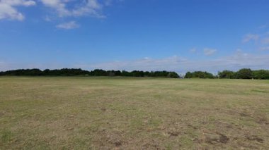 Umi no Mori Park, Japonya Tokyo 2025