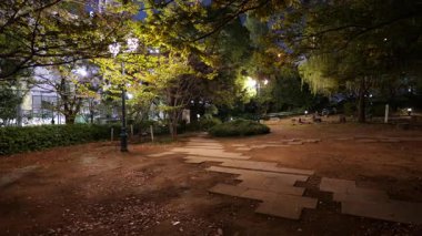 Hamacho Park Gece Manzarası, Japonya Tokyo Kasım 2025