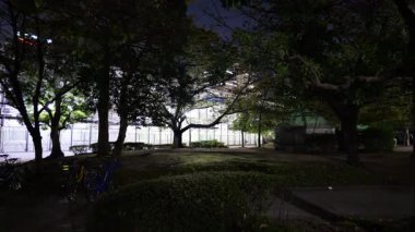 Hamacho Park Gece Manzarası, Japonya Tokyo Kasım 2025