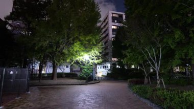 Hamacho Park Gece Manzarası, Japonya Tokyo Kasım 2025