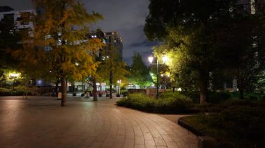 Hamacho Park Gece Manzarası, Japonya Tokyo Kasım 2025