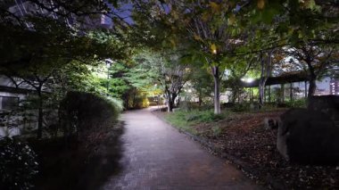 Hamacho Park Gece Manzarası, Japonya Tokyo Kasım 2025