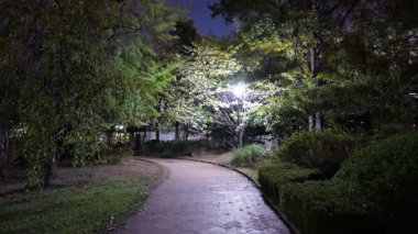 Hamacho Park Gece Manzarası, Japonya Tokyo Kasım 2025