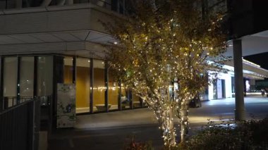 Tokyo Solamachi Noel Aydınlatmaları 2025 Gökyüzü Ağacı