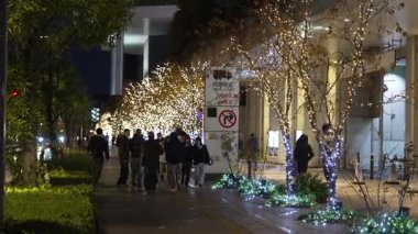 Tokyo Solamachi Noel Aydınlatmaları 2025 Gökyüzü Ağacı