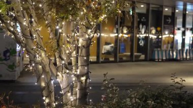 Tokyo Solamachi Noel Aydınlatmaları 2025 Gökyüzü Ağacı