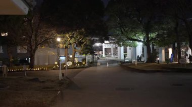 Sumida Parkı, Japonya Tokyo Gece Manzarası Aralık 2025