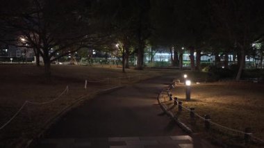 Sumida Parkı, Japonya Tokyo Gece Manzarası Aralık 2025