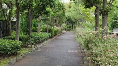 Susaki Nehri Yeşil Yol Parkı, Japonya Tokyo Ekim 2025