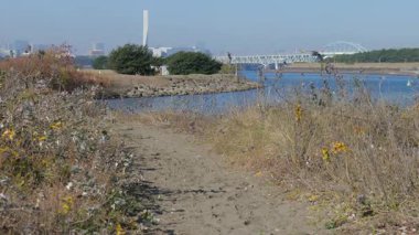 Kasai Sahil Parkı Sahili, Japonya Kasım 2025