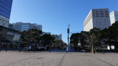 Tokyo Büyük Görüş, Japonya Aralık 2025