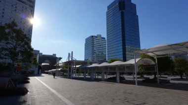 Tokyo Büyük Görüş, Japonya Aralık 2025