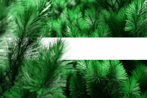Illustratie Groene Naaldbomen Kerstkaart Met Een Leeg Veld Vullen Een — Stockfoto