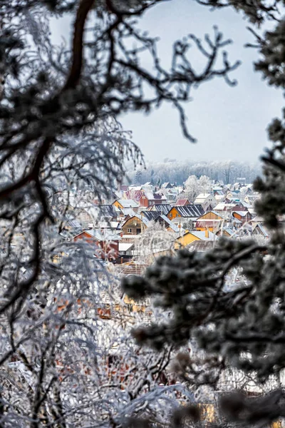 Landscape of a beautiful small village of wooden houses through snow-covered branches of pine trees. Beautiful magic forest and city