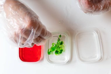 Kimya eğitimi ve eğitim konsepti. Yakın plan kadın yeşil kimyasal elementi evdeki deneyler için bir konteynıra damlatıyor. Kristal Büyüme Kimya Deneyi