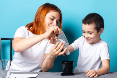 Anne ve oğlu tohum ekmek ve mavi arka planda bir masada bitki yetiştirmek için siyah bir kaba toprak koydular. Çocuklarla bahçe kursu kavramı.
