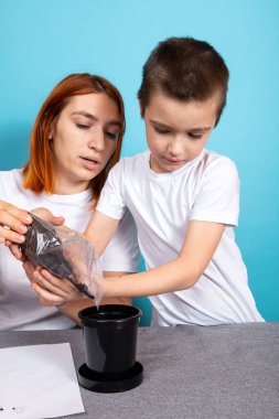 Anne ve oğlu tohum ekmek ve mavi arka planda bir masada bitki yetiştirmek için siyah bir kaba toprak koydular. Çocuklarla bahçe kursu kavramı.