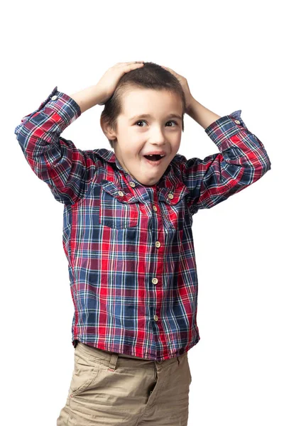 Retrato Niño Sonriente Con Una Camisa Cuadros Sosteniendo Cabeza Gritando —  Fotos de Stock