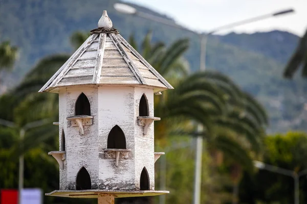 Casa Pássaros Madeira Branca Para Pássaros Ficar Parque Dia Quente — Fotografia de Stock