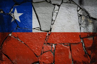 Chil Ulusal Bayrağı