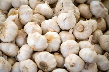 Kutuda taze sarımsak, arka planda. Dükkanda taze sarımsak yetişiyor. Lezzetli ve sağlıklı yemekler.