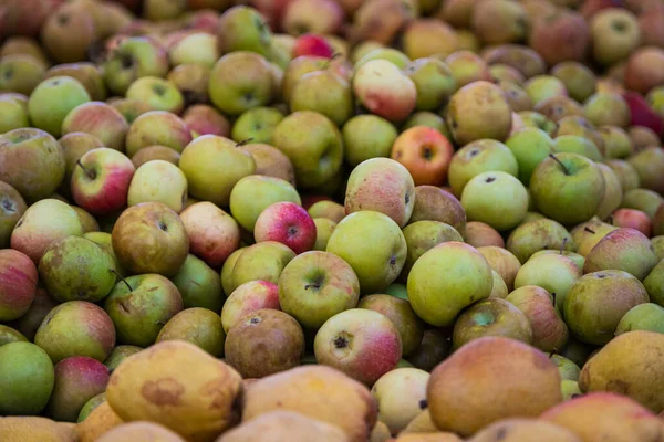 Fondo Manzanas Rojas Verdes Variedad Manzanas Frescas Cultivadas Tienda Manzana — Foto de Stock