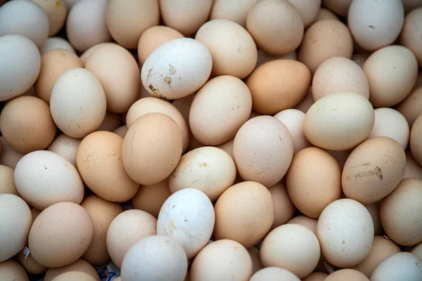 Huevos Pardos Blancos Vista Superior Huevos Pollo Reales — Foto de Stock