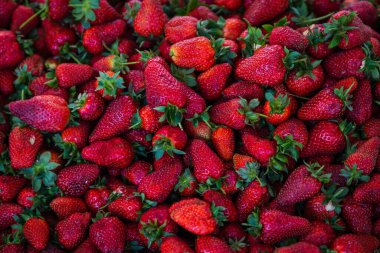 Arka plan ve doku için parlak böğürtlen yakın çekim. Vitrindeki kırmızı çilekler. Taze çiğ çilek.