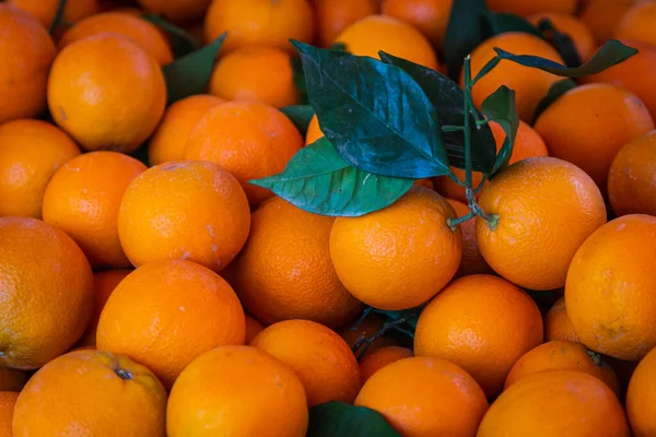Portakallı Arka Plan Dükkanda Yetişen Taze Portakallar Meyve Suyu Turta — Stok fotoğraf