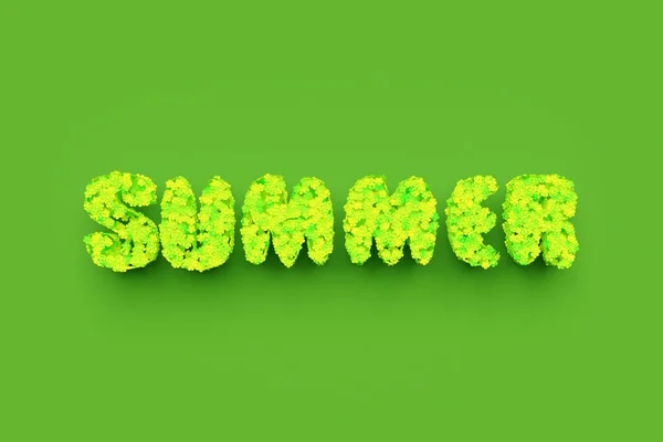 Illustration Bright Inscription Summer Green Flowers Green Isolated Background Fashion — Stock Photo, Image