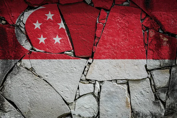 싱가포르의 국기가 돌벽에 색을칠 모습을 묘사하고 — 스톡 사진