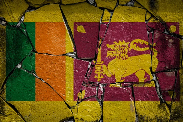 Εθνική Σημαία Της Σρι Λάνκα Απεικονίζει Χρώματα Χρώμα Ένα Παλιό — Φωτογραφία Αρχείου