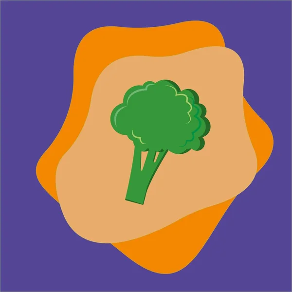 Векторне Зображення Зеленого Брокколі Гілочкою Листям Тіні Відблиском Зеленому Ізольованому — стокове фото