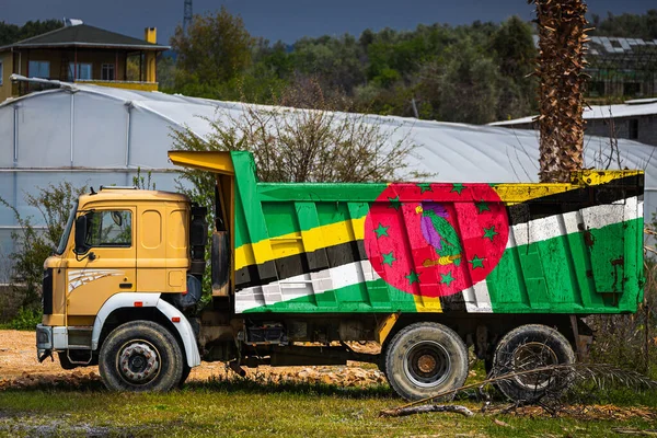 Dump Truck Image National Flag Dominica Parked Background Countryside Concept — Stockfoto