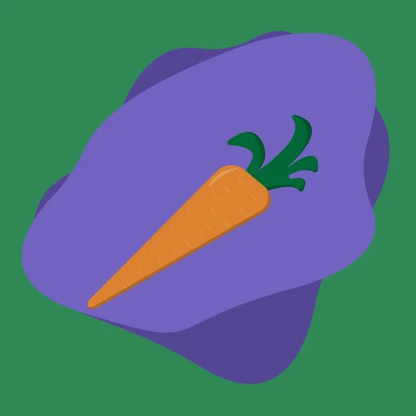 Vektorkép Egy Narancssárgarépáról Egy Ággal Egy Árnyékos Levéllel Amely Zöld — Stock Fotó