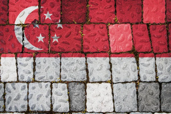돌벽에 싱가포르의 텍스처 세워져 — 스톡 사진