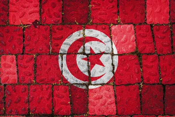 Drapeau National Tunisie Sur Fond Mur Pierre Bannière Drapeau Sur — Photo