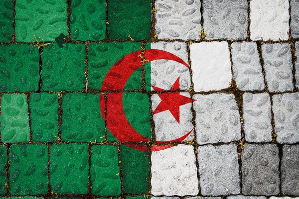 Nemzeti Zászló Algéria Kőfal Háttér Zászló Banner Textúra Háttér — Stock Fotó