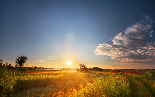 Tramonto cielo sopra il prato — Foto Stock