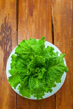  Taze yeşil marul yaprakları